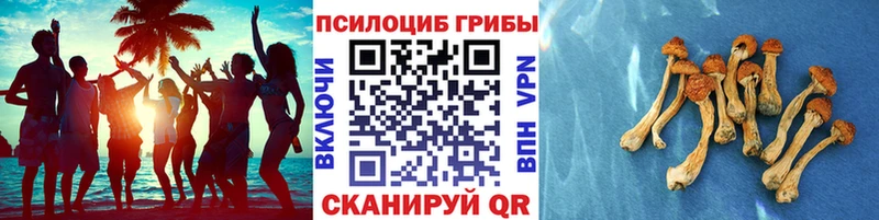 дарнет шоп  Усинск  Псилоцибиновые грибы мухоморы 