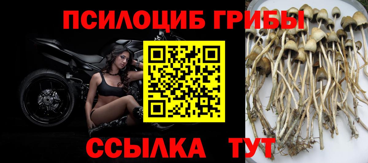 Псилоцибиновые грибы Magic Shrooms Усинск