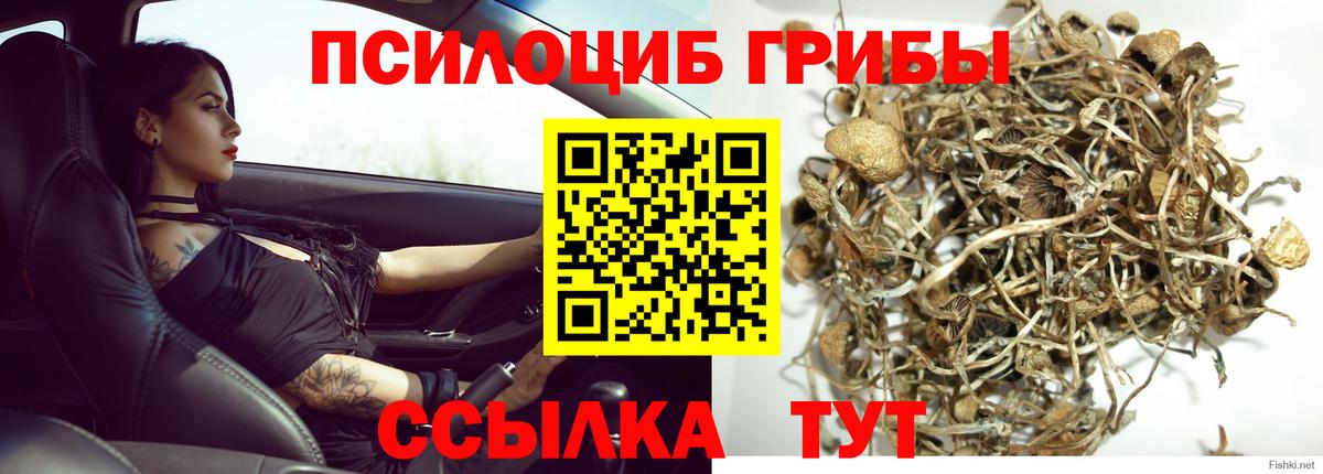 Галлюциногенные грибы Psilocybine cubensis  где купить наркоту  Усинск  Вход с VPN 